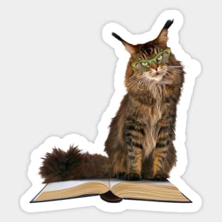 Angry Cat in Glasses Sits on Your Book Sticker